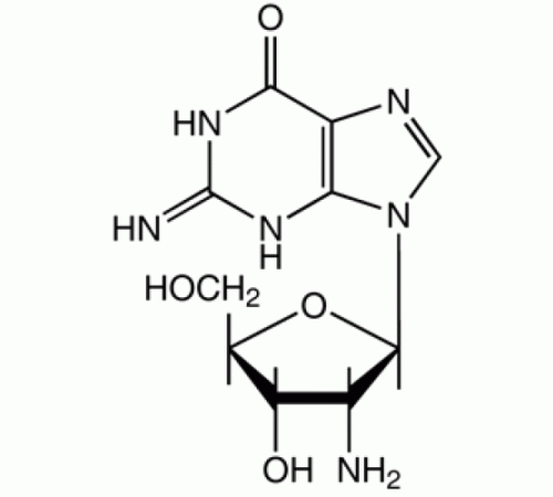 2'-амино-2'-дезоксигуанозин, 98%, Alfa Aesar, 1 г