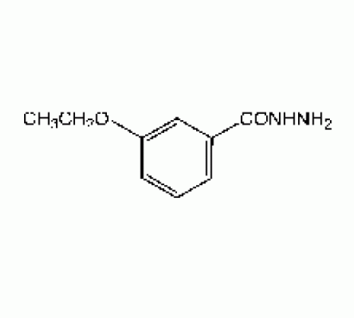 3-этоксибензгидразид, 98%, Alfa Aesar, 1 г
