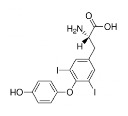 3,5-дийодо-L-тиронин аналог гормона щитовидной железы Sigma D0629