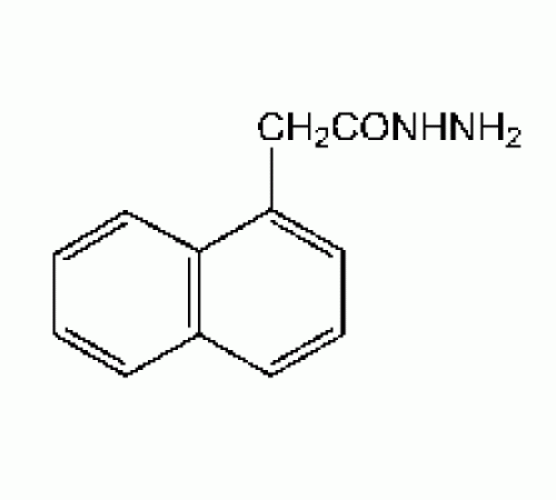 1-Нафталинацетидразид, 98 +%, Alfa Aesar, 25г