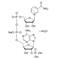 Порошок гидрата натриевой соли -никотинамидадениндинуклеотидфосфата Sigma N3886