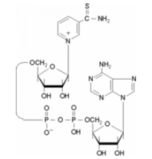 Тионикотинамидадениндинуклеотид 90% Sigma T7375