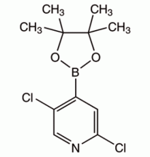 2,5-дихлорпиридин-4-бороновой кислоты пинакон, 95%, Alfa Aesar, 1г