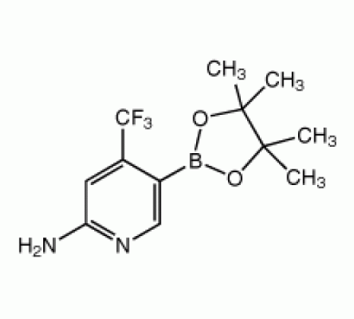 2-Амино-4- (трифторметил) пиридин-5-бороновой кислоты пинакон, 95%, Alfa Aesar, 250 мг