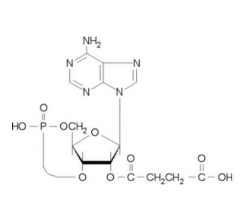 2'-O-Моносукциниладенозин 3 ': 5'-циклический монофосфат 98% Sigma M9131