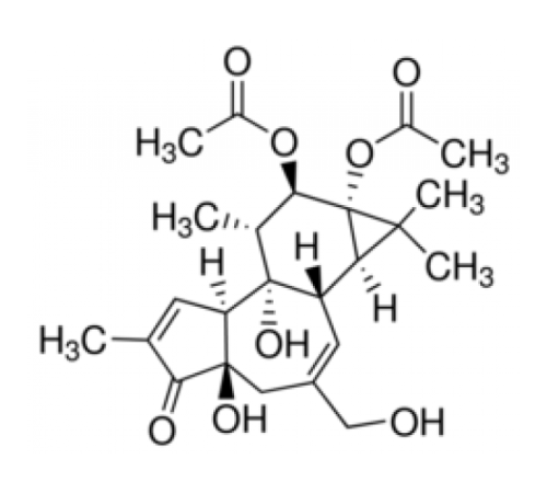 Форбол 12,13-диацетат порошок Sigma P9143