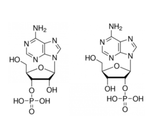 Смешанные изомеры аденозина 2 '(3'β монофосфата Sigma A3013