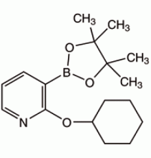 2-Циклогексилоксипиридин-3-бороновая кислота пинакон, 99%, Alfa Aesar, 1г