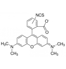 Смешанные изомеры тетраметилродамина изотиоцианата, подходящие для флуоресценции, смесь изомеров Sigma 87918