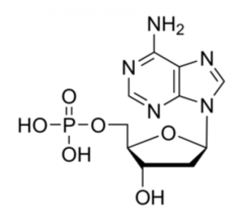 2'-дезоксиаденозин-5'-монофосфат, 98%, Alfa Aesar, 1 г