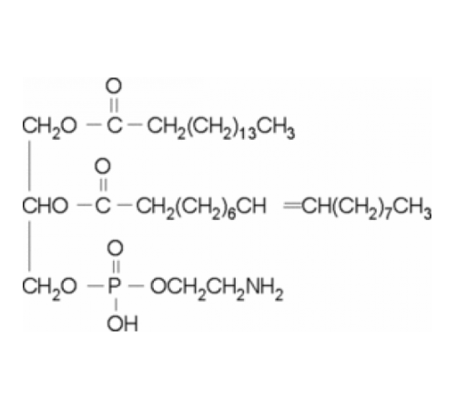 2-олеоил-1-пальмитоил-sn-глицеро-3-фосфоэтаноламин лиофилизированный порошок Sigma P5203