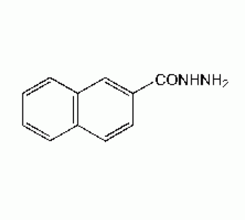 2-нафтойной гидразид, 98%, Alfa Aesar, 1г