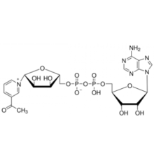 3-Ацетилпиридинадениндинуклеотид 85% Sigma A5251