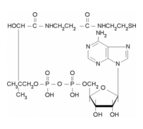 3'-Дефосфокофермент A 90% (ВЭЖХ) Sigma D3385