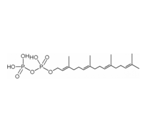 Раствор аммониевой соли геранилгеранилпирофосфата, 95% (ТСХ), ~ 1 мкг / мл в метаноле: NH4OH (7: 3) Sigma G6025