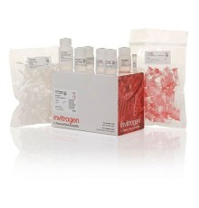 Набор PureLink Quick Plasmid Miniprep Kit, Thermo FS