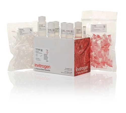 Набор PureLink Quick Plasmid Miniprep Kit, Thermo FS