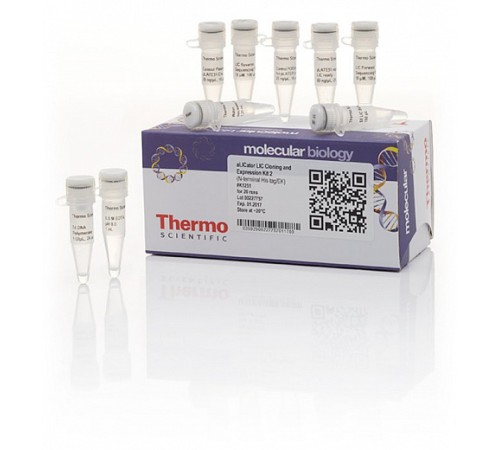 Набор для безлигазного клонирования aLICator LIC Cloning and Expression Kit 2, Thermo FS