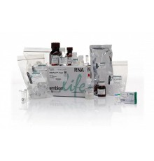 Набор RiboPure RNA Purification Kit, yeast, Thermo FS