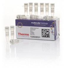 Набор для безлигазного клонирования aLICator LIC Cloning and Expression Set 1, Thermo FS